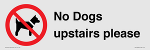 No Dogs upstairs please 